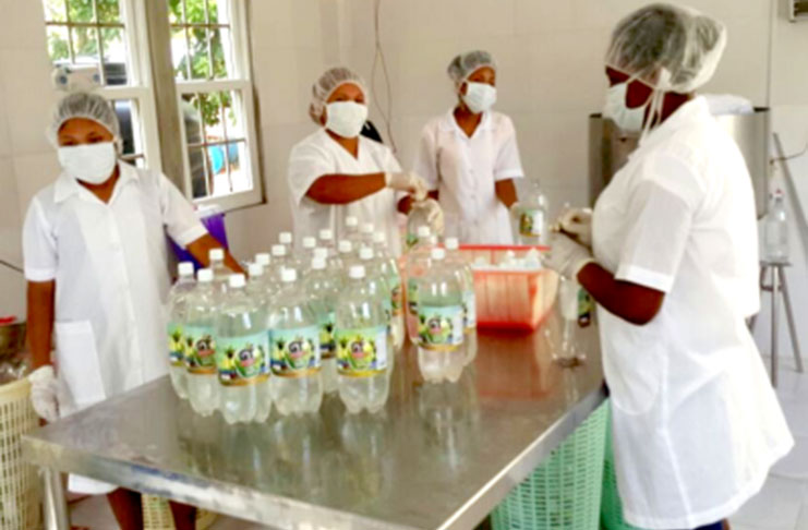 The coconut industry in Guyana