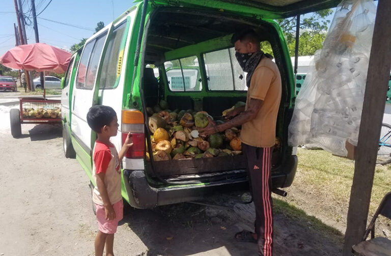 Coconut industry sees expansion