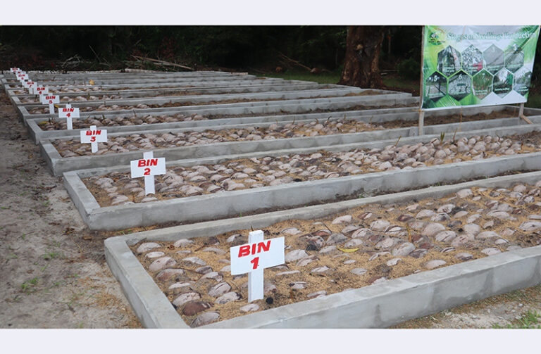 Kairuni gets $1.1M coconut nursery