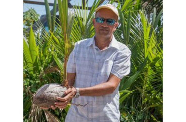 Coconut a new frontier crop