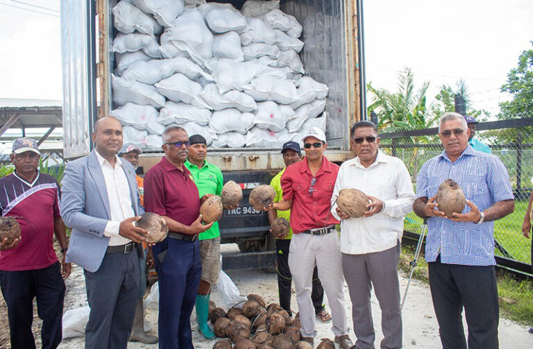 Seed of Prosperity: Hope Coconut Industry gears up for increased Coconut production in 2024