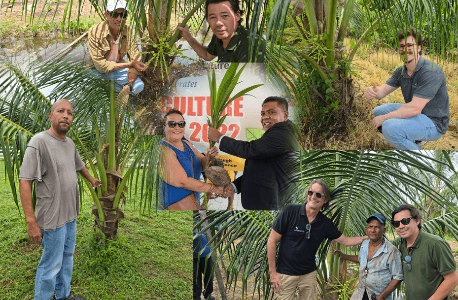 Brazilian Varieties Boost Guyana’s Coconut Sector in Major Revitalisation Drive
