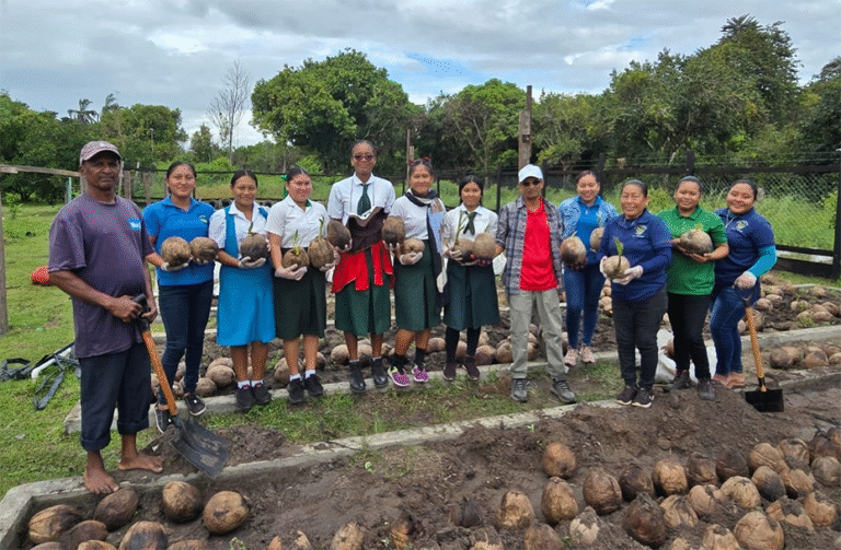 Hope Coconut Industries Restocks Lethem Nursery with 3,000 Seedlings